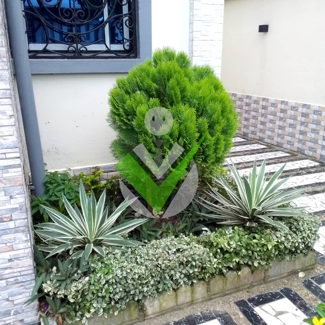 Gallery image 4