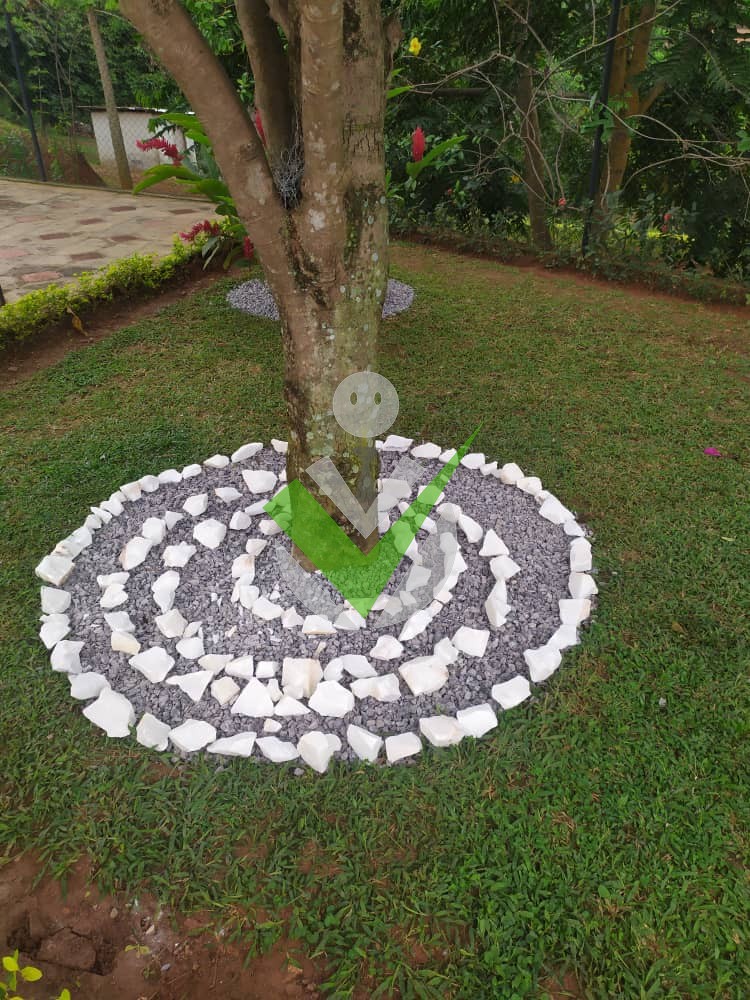 Gallery image 6