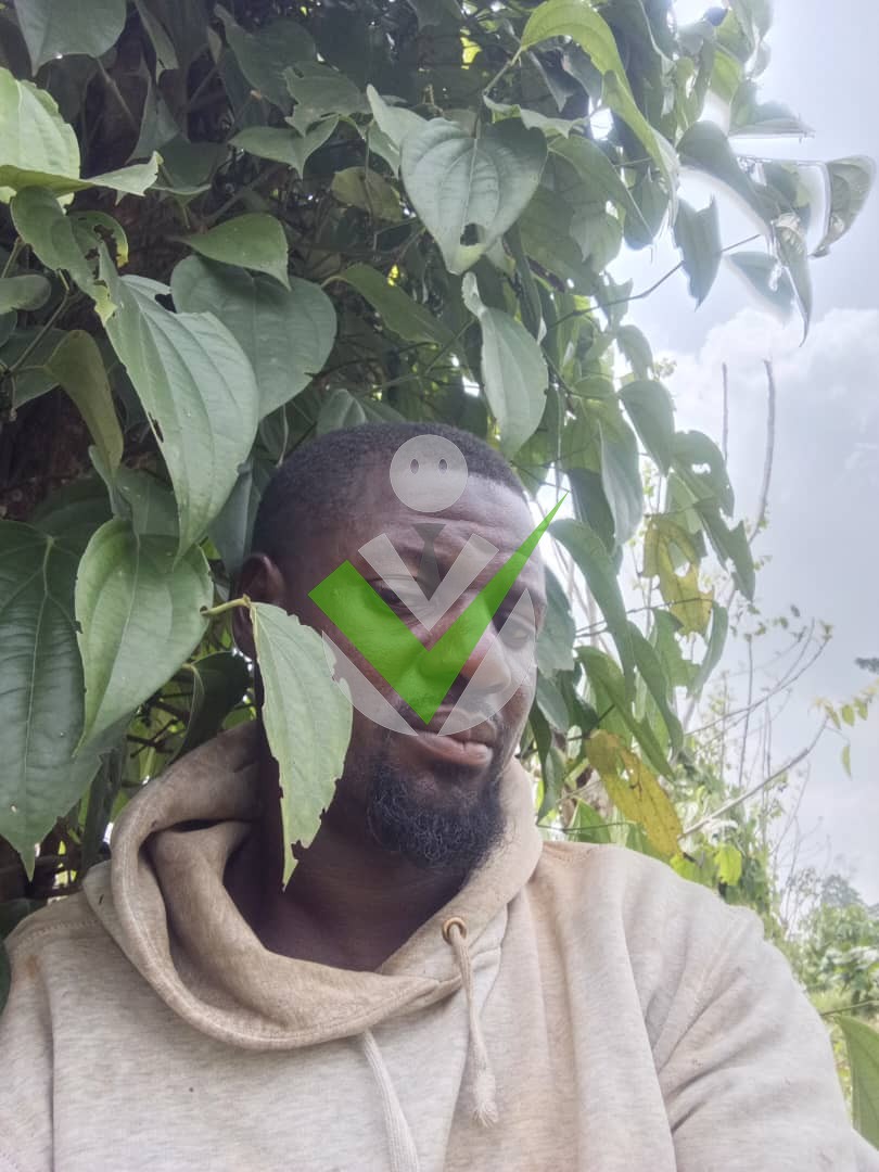 Nyiefor Julius Chembo