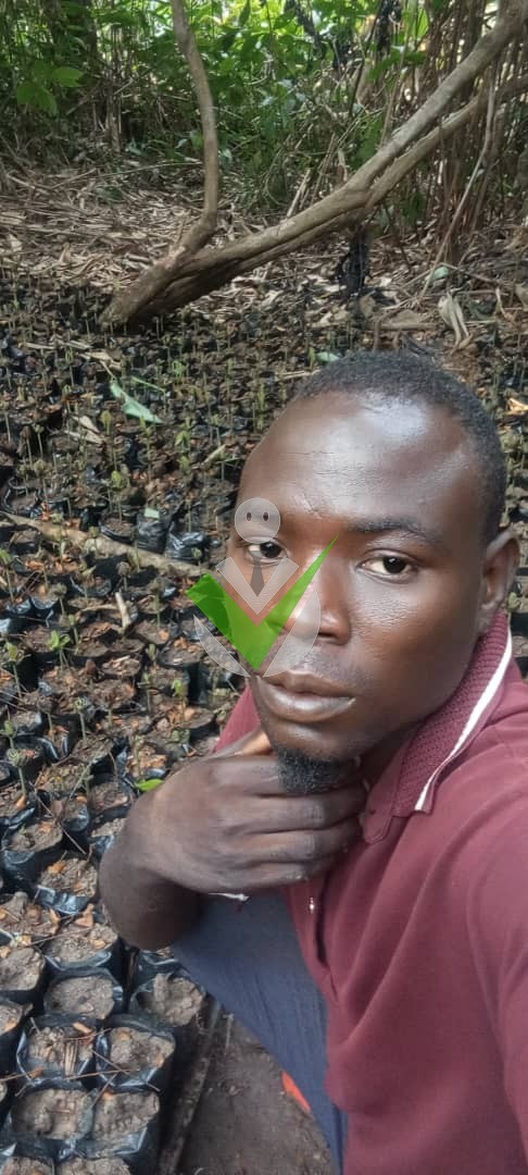 Robert Yadassi