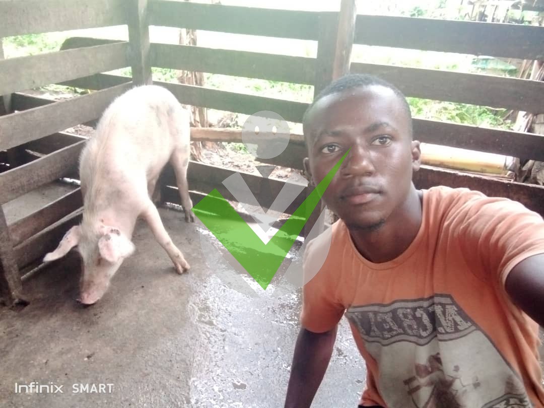 Cedric Dongmo Kitio