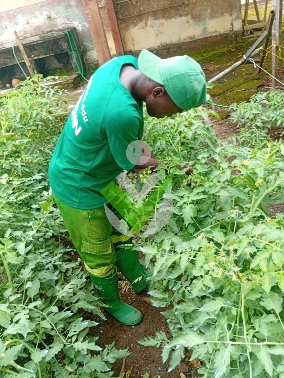 Mardochée Nkoue