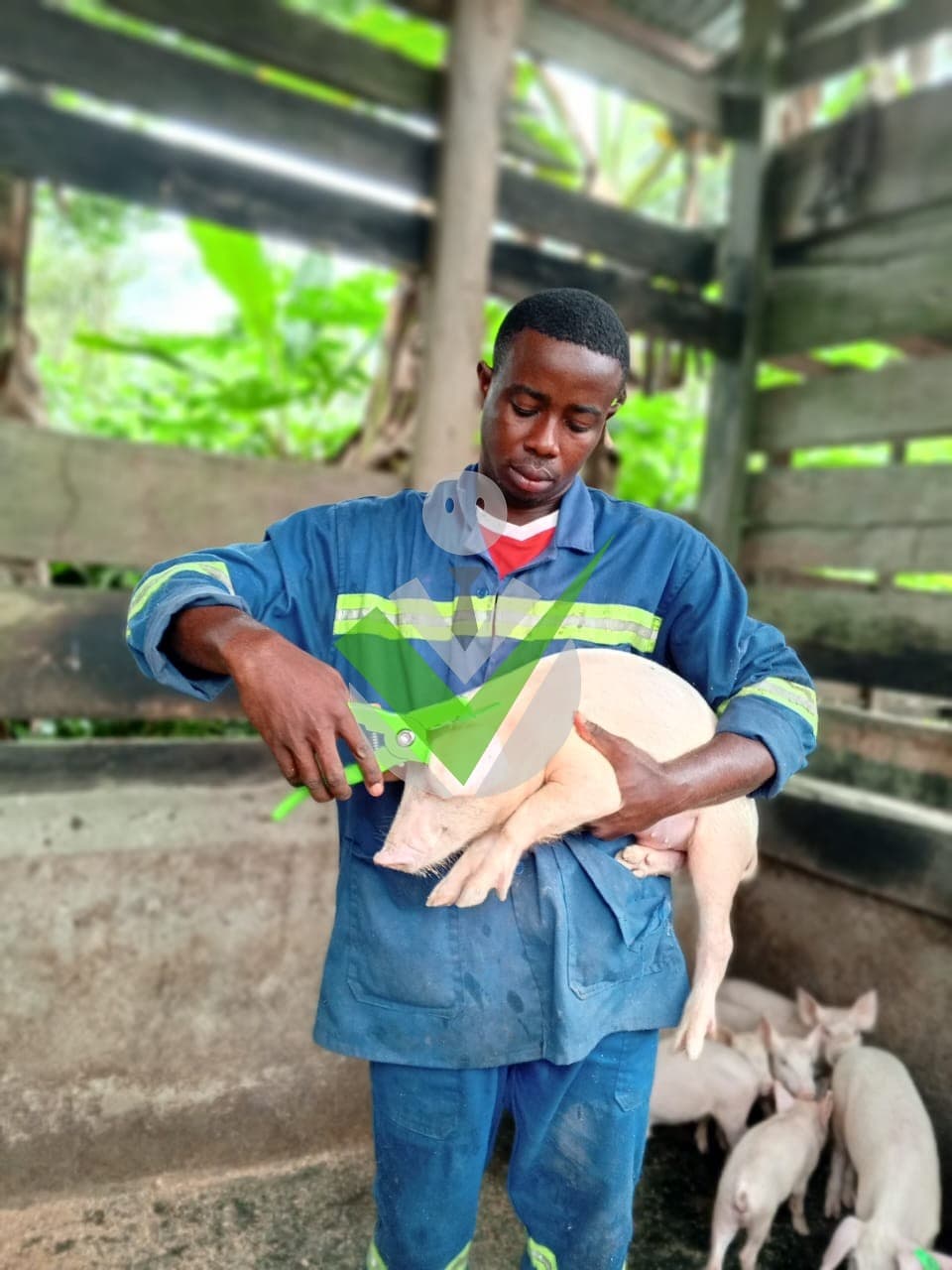 Zogo Andang Dieudonné