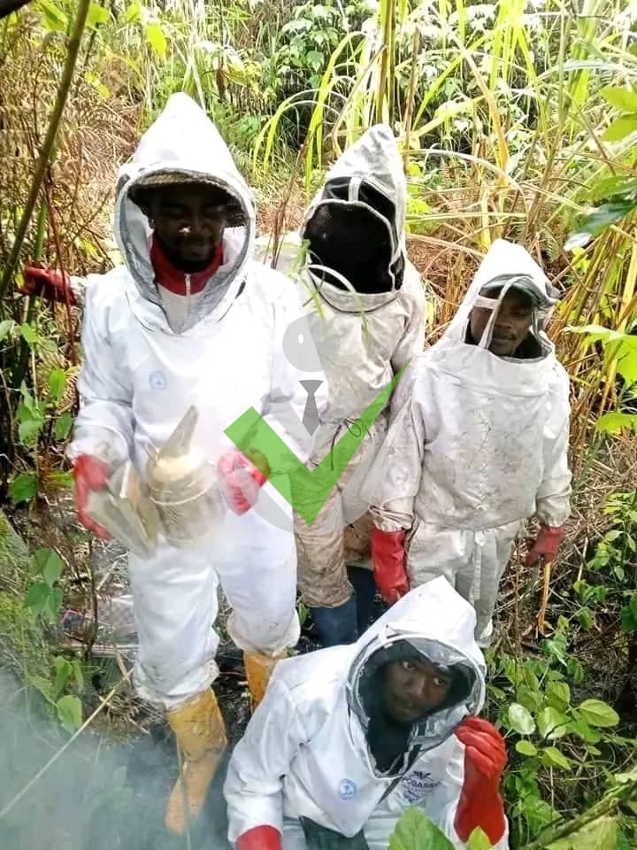 Jean Marie Happy Awawou