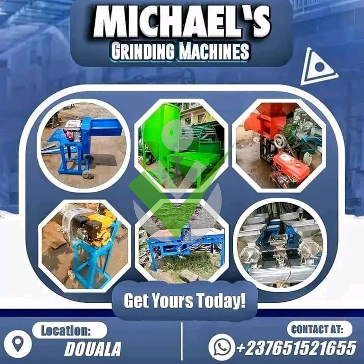 Micheal Baye