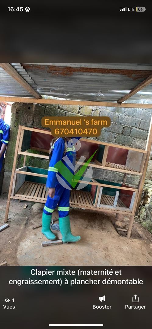 Emmanuel Tsapi