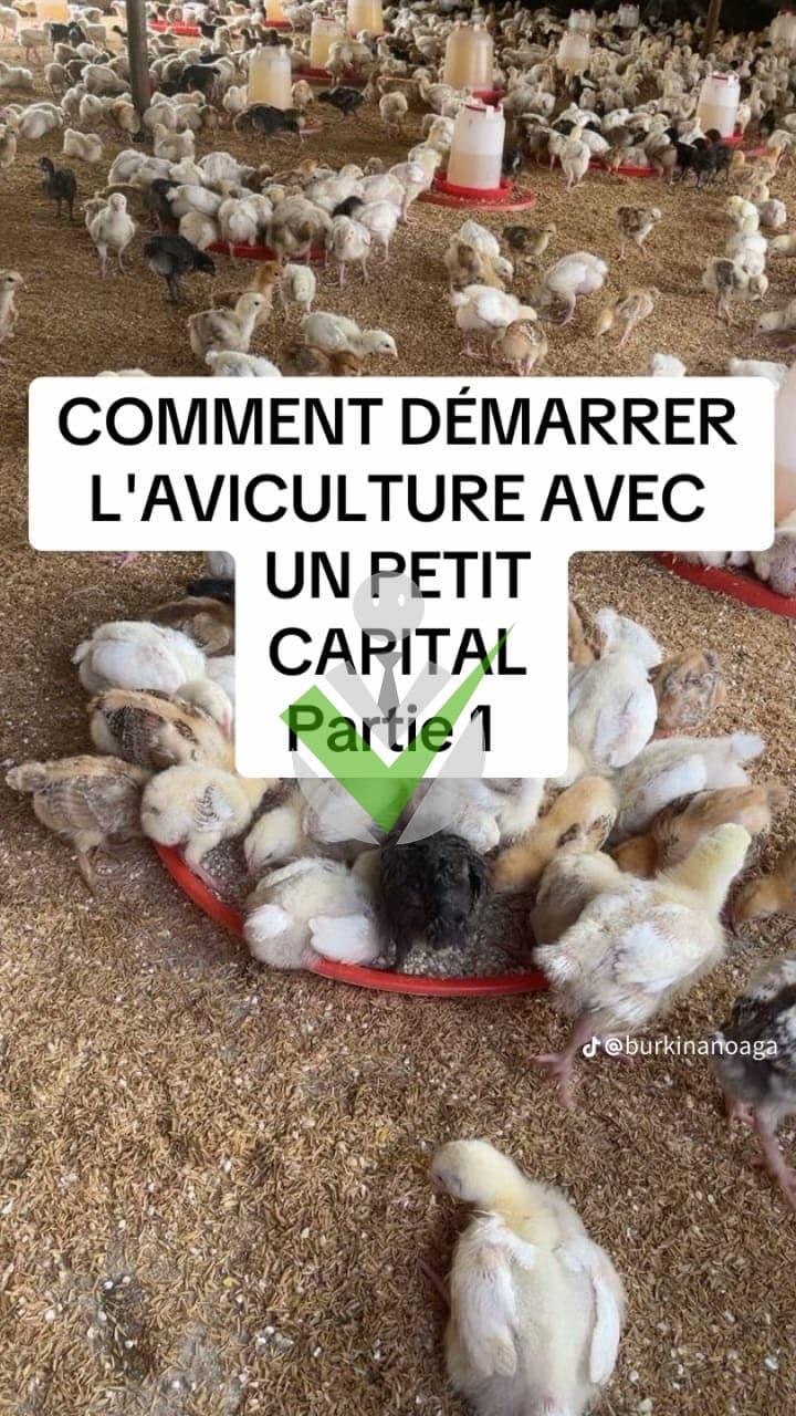 Ibrahim housseïni Ibrahim housseïni