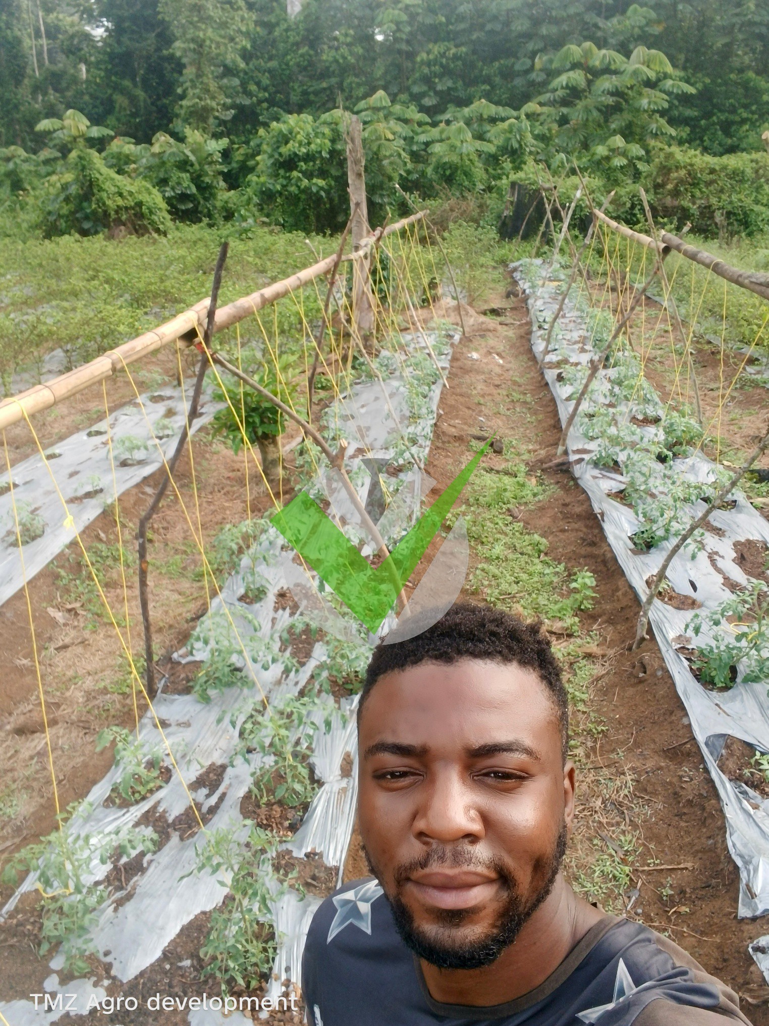 TMZ Agro Development