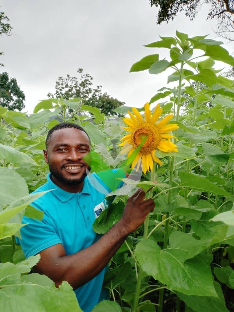 Brice Ebogo
