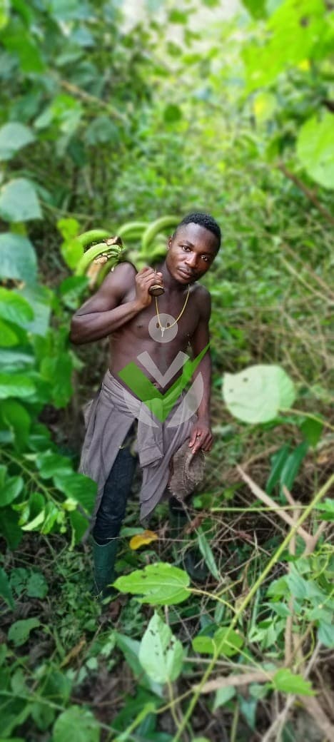 Arnold yannice Koukouy mbida