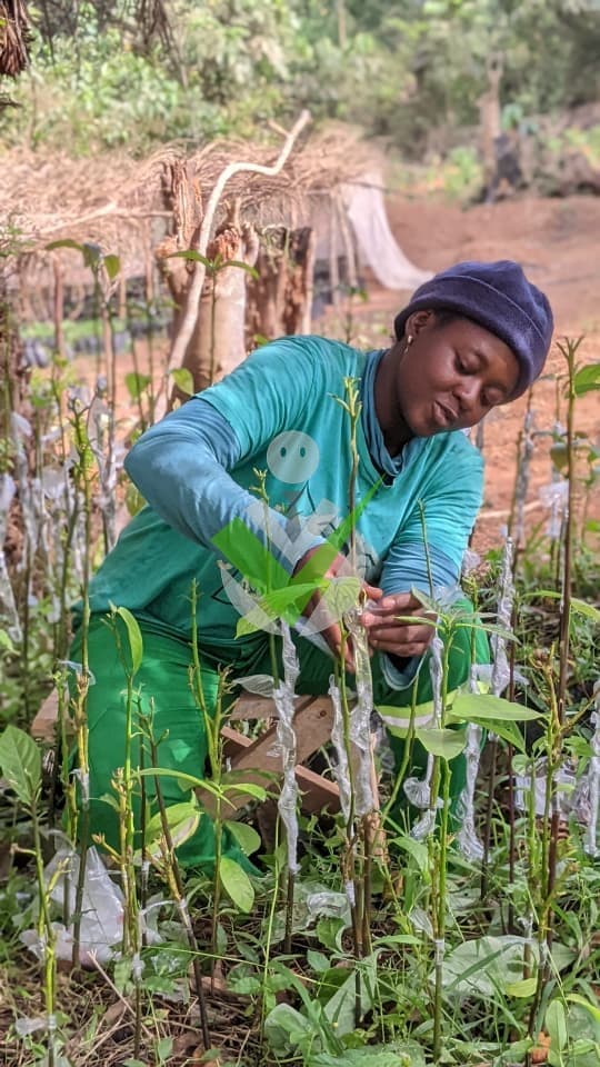 Eva Nadia Ngueumaleu