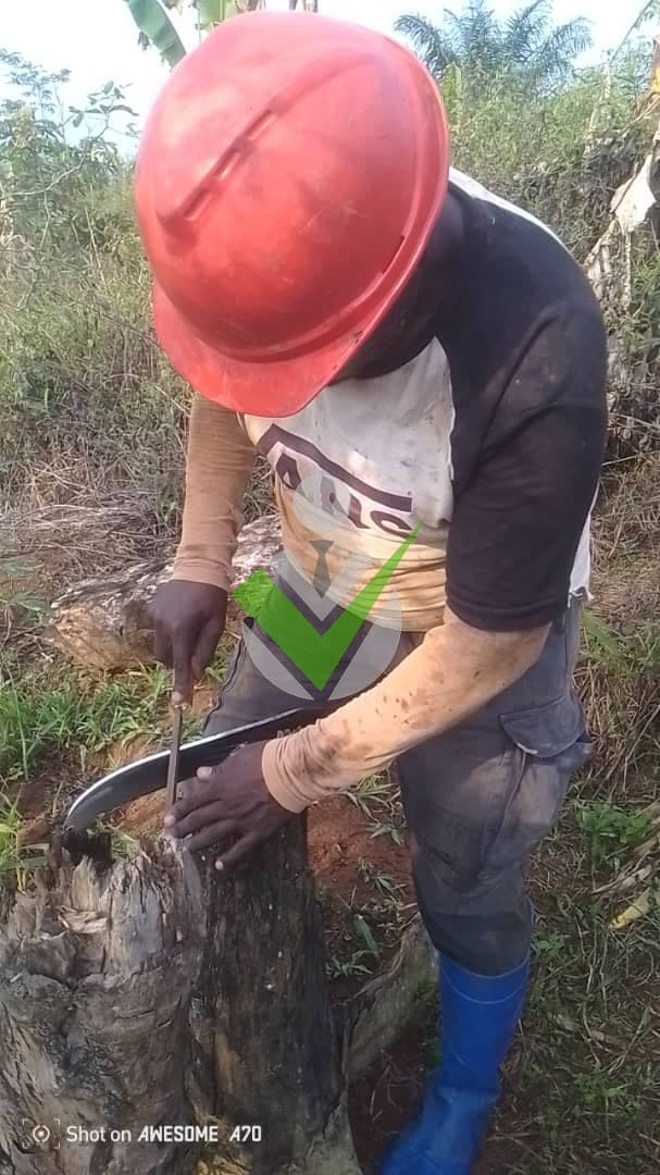 Emmanuel KOPA NGOKO,