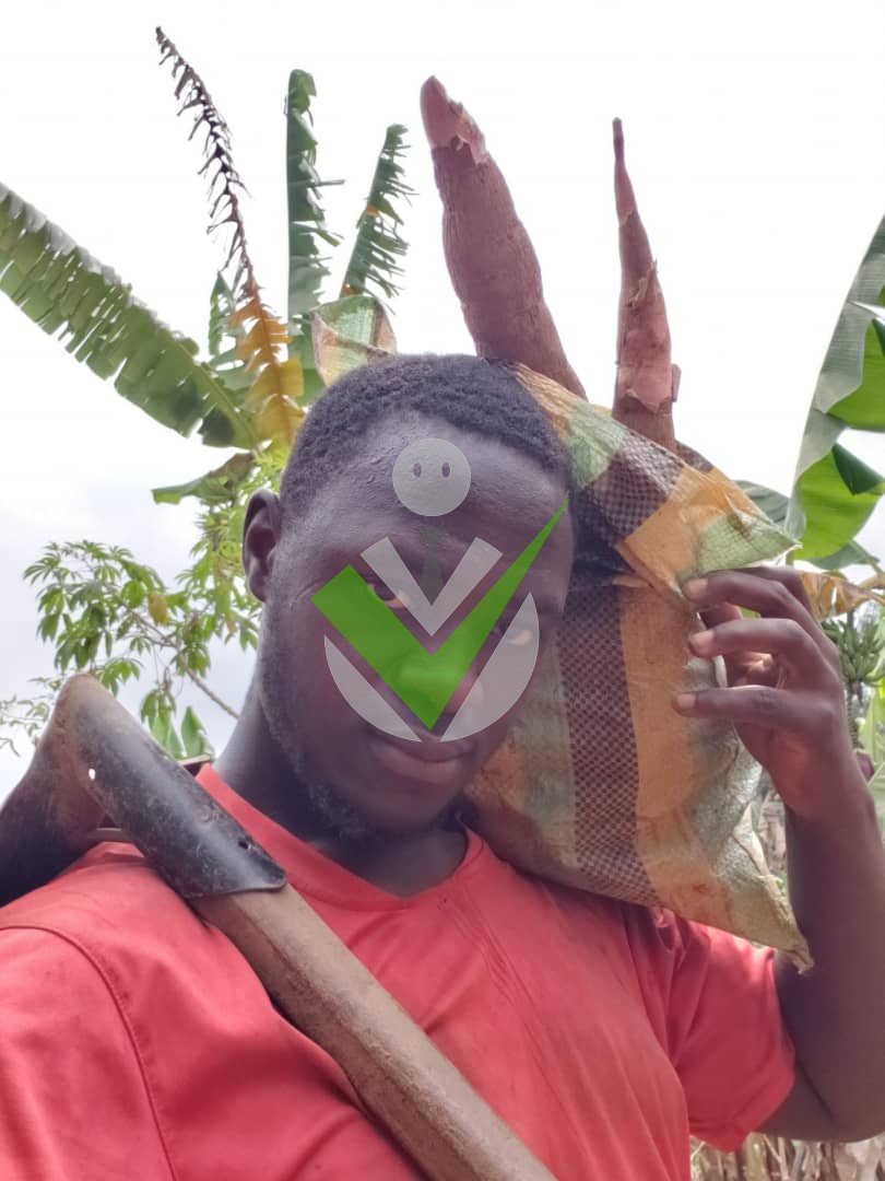 Yenchi Dobgima