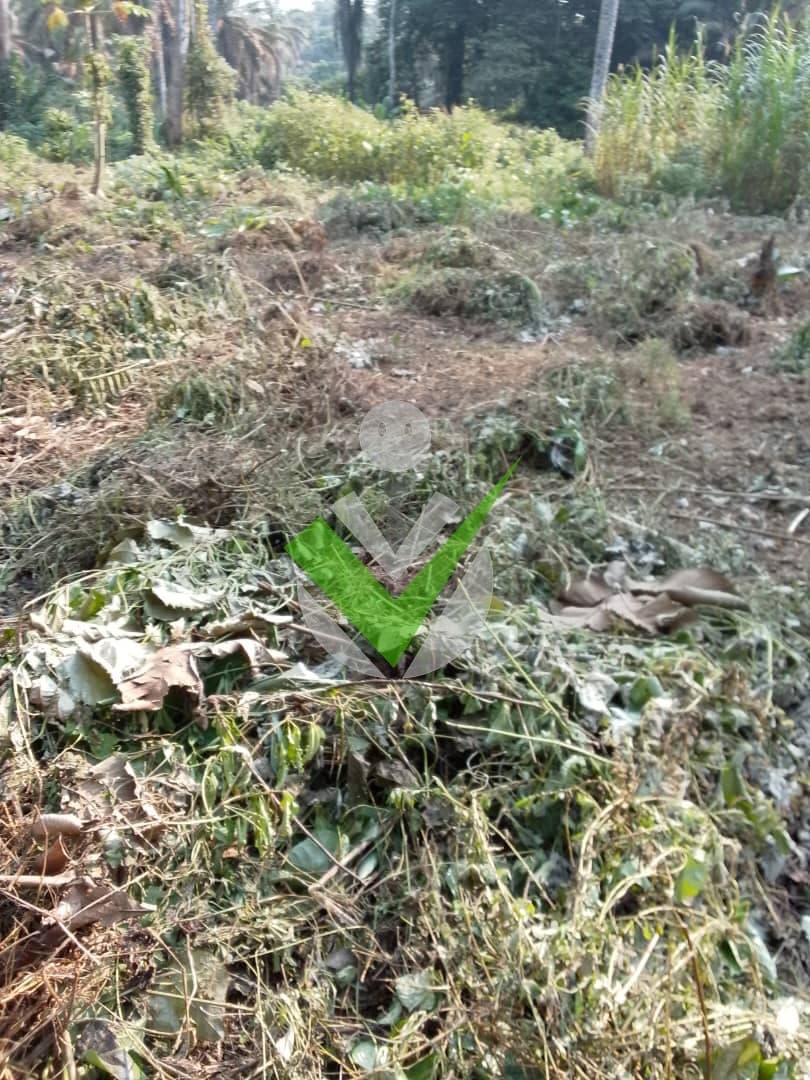 Tchagoue Guy Rodrigue