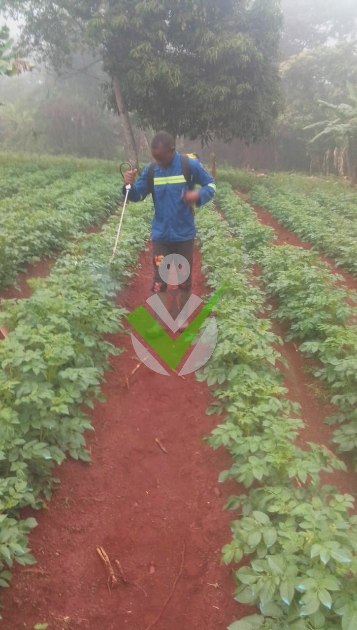 Njike Francis
