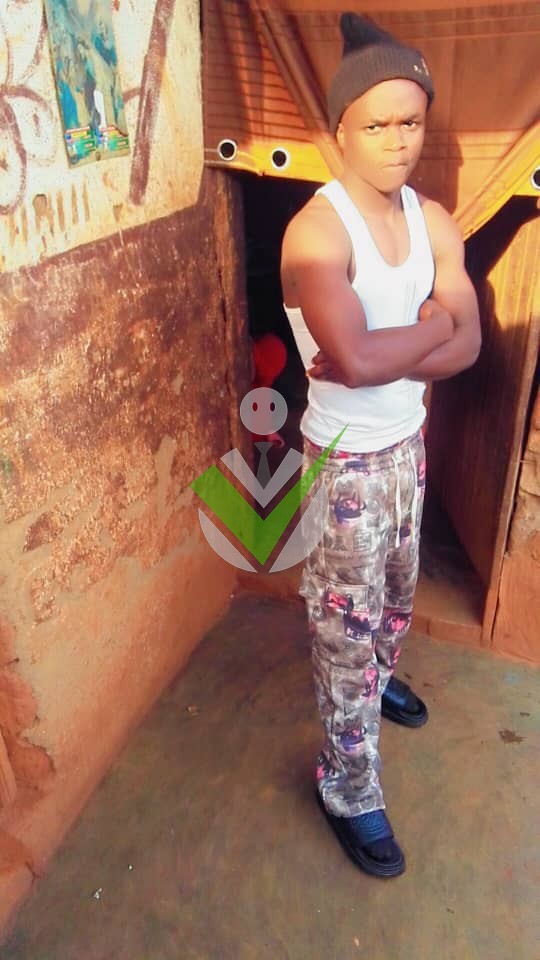 Stive Zifu