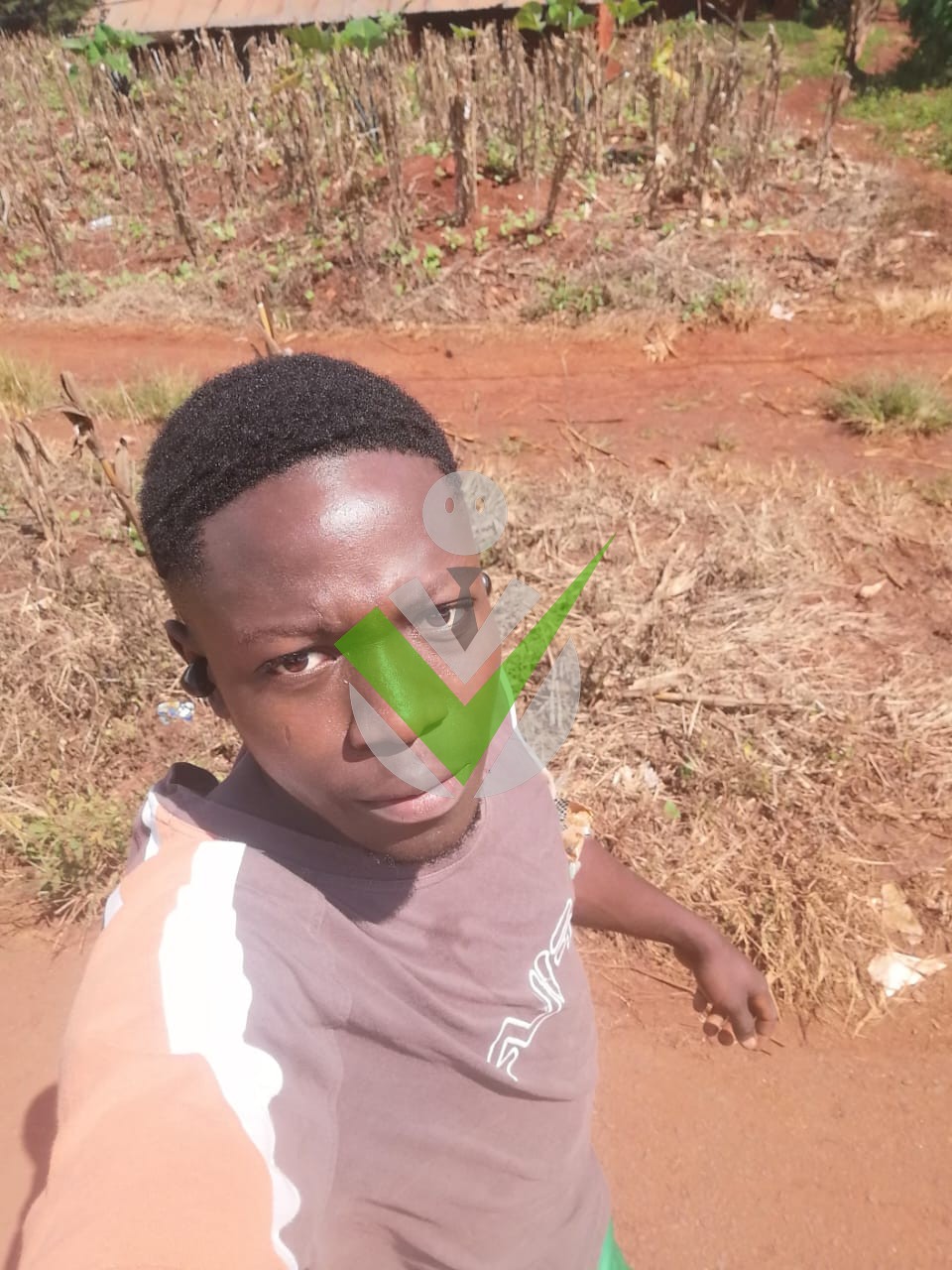 NOMEL Djomeni