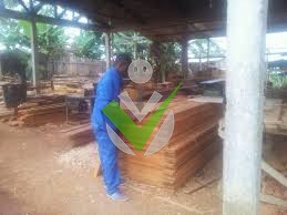 Basile Ongono