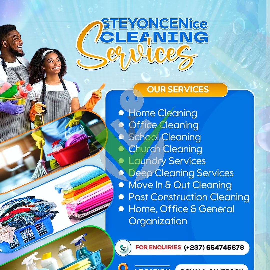 SteyonceNice Cleaning Services