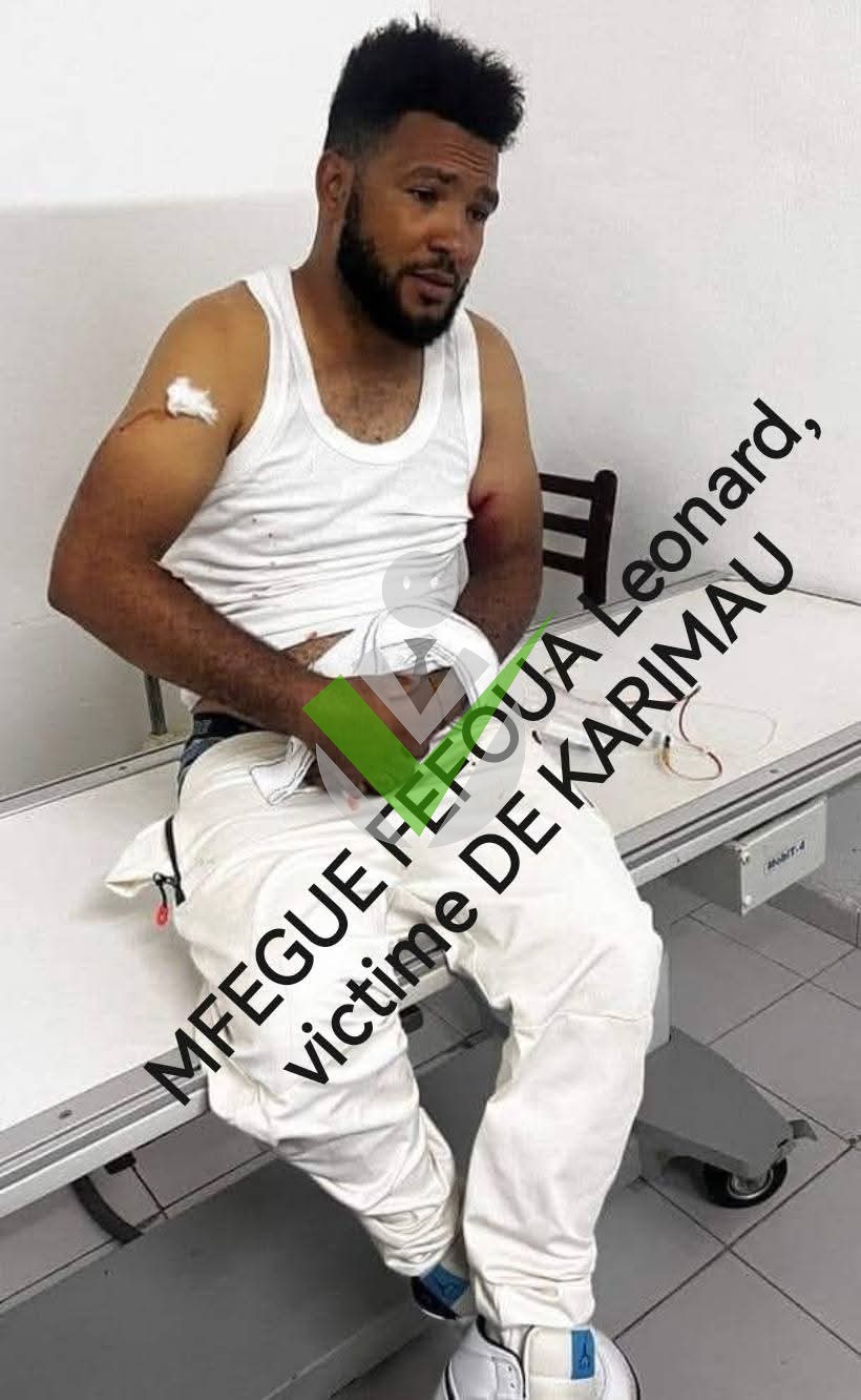 Wilfried Nzessebem