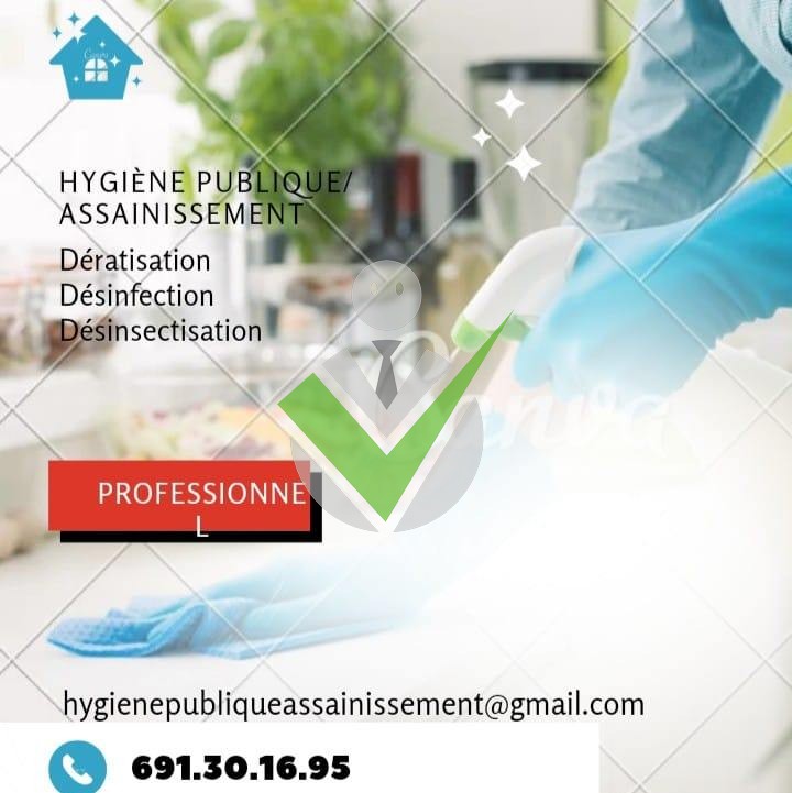 Hygiène Publique Assainissement Hygiène Publique Assainissement