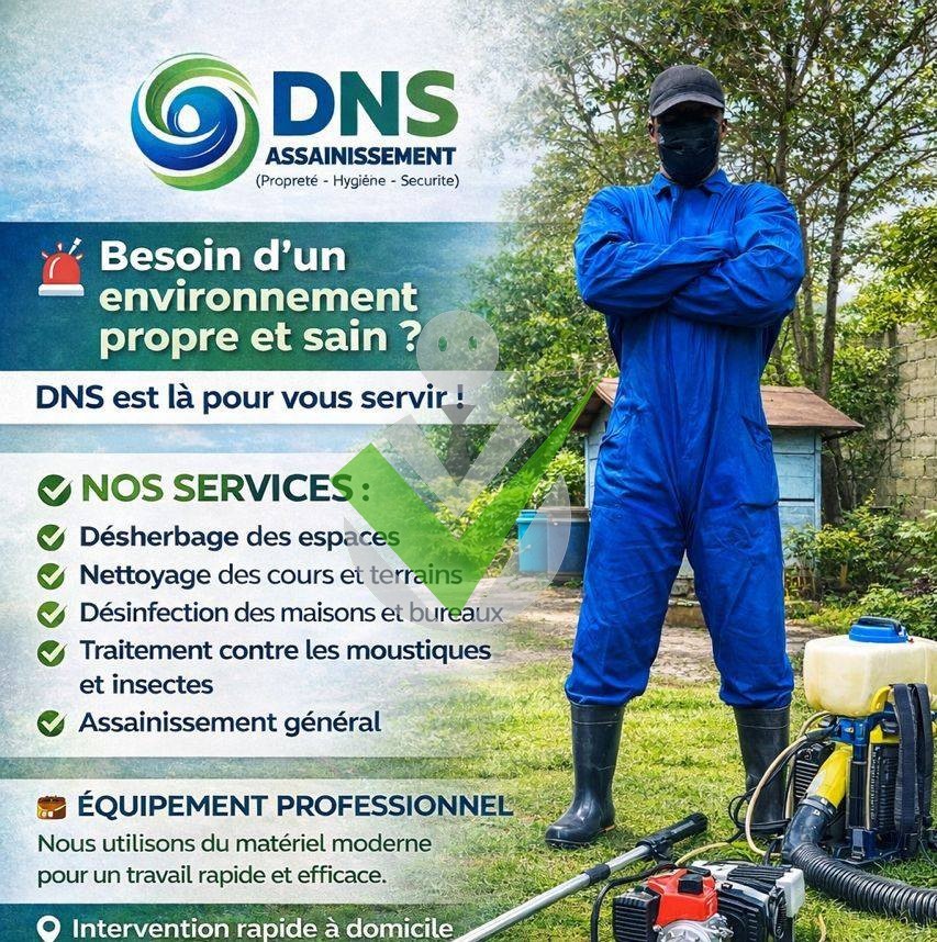 DNS Service
