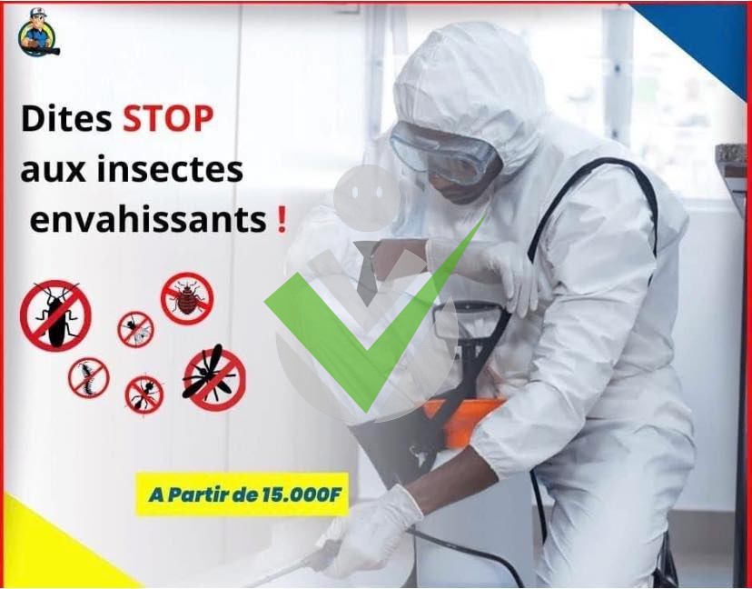 Foscam: service de vidange, de désinfection, désinsectisation