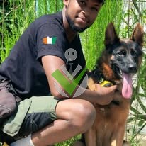 Instructor k9 International