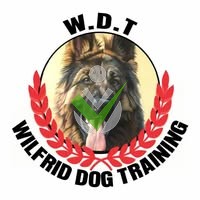 WILFRID DOG TRAINING