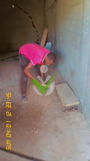 Steve Tsanga