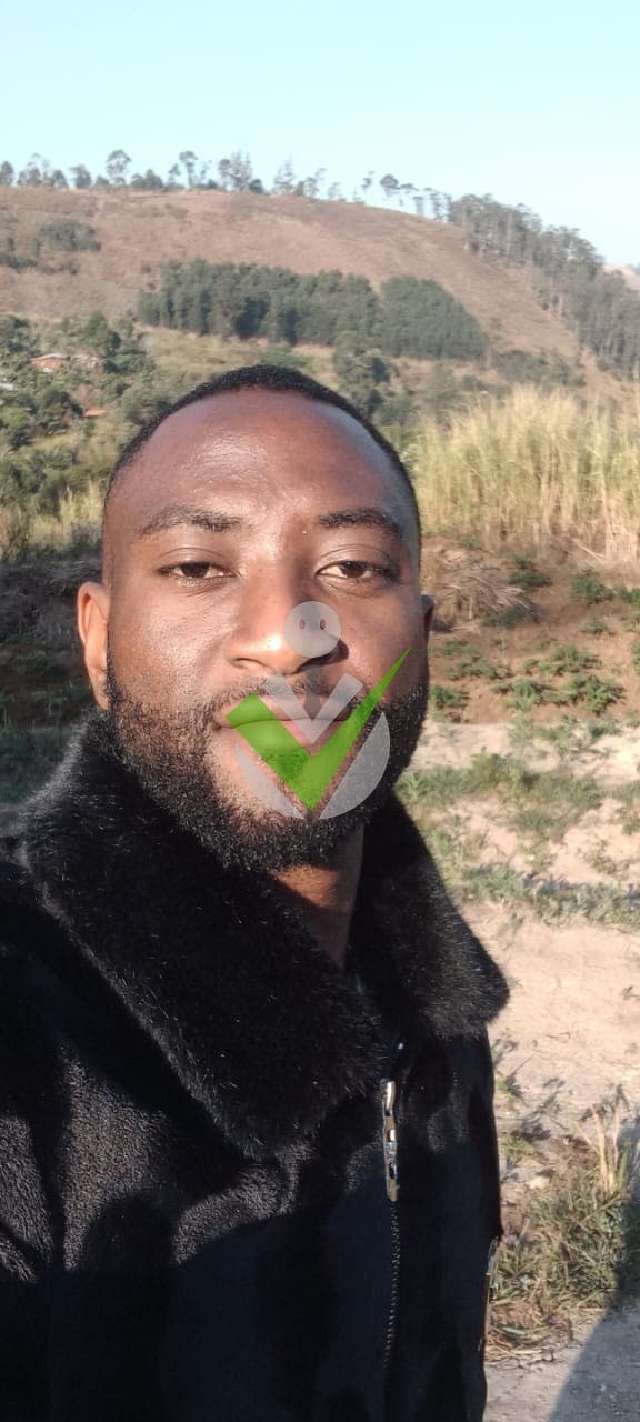 brondon dollar