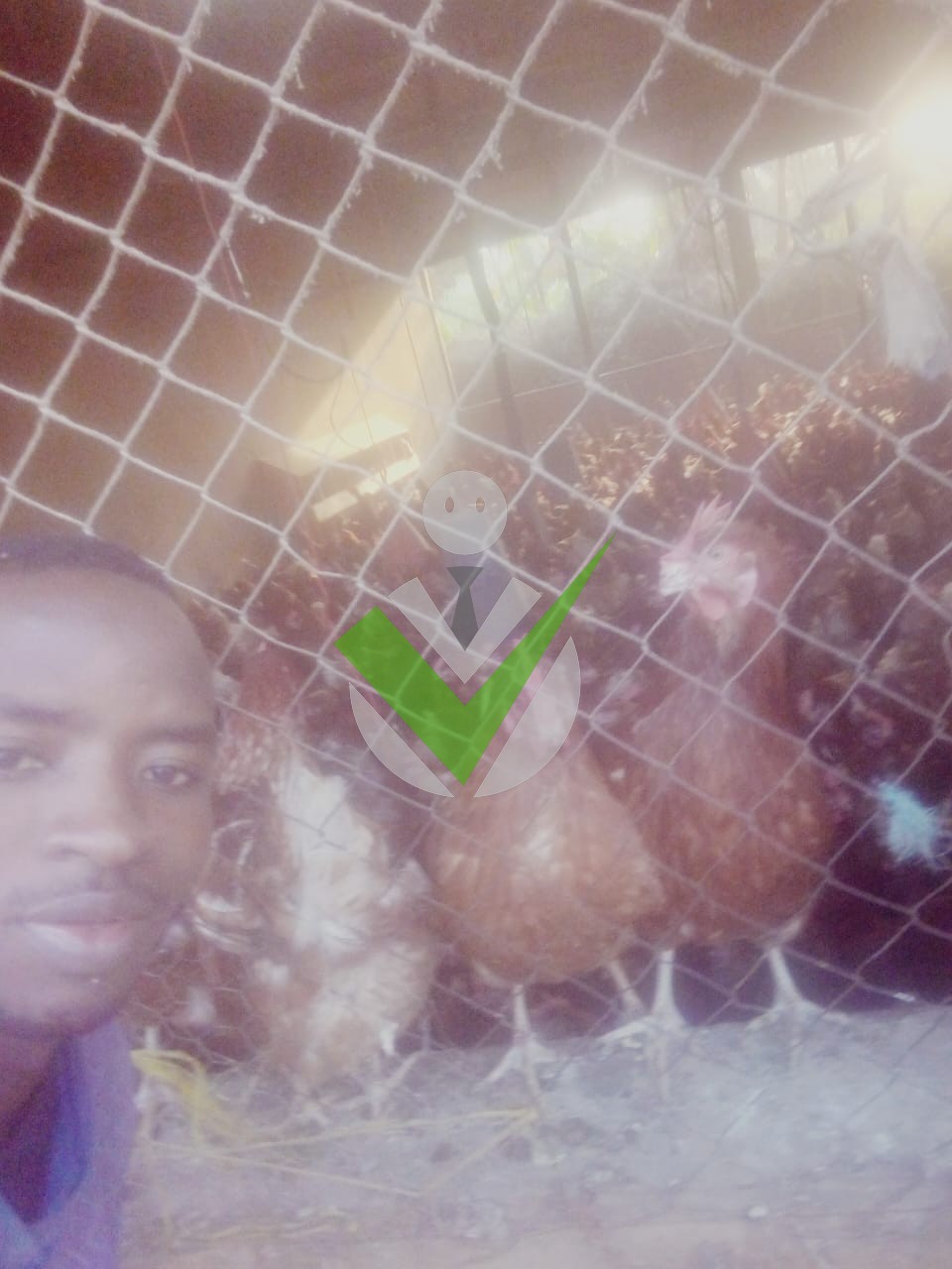 ABDOULAYE MOUSSA