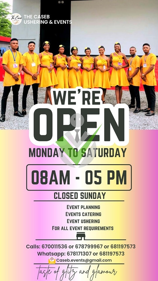 Multi Model Ushering Agency