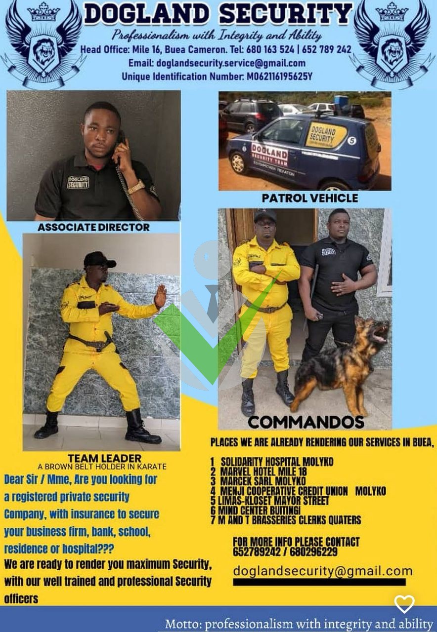 Dogland Security company