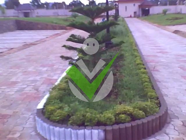 Divine Ndeh