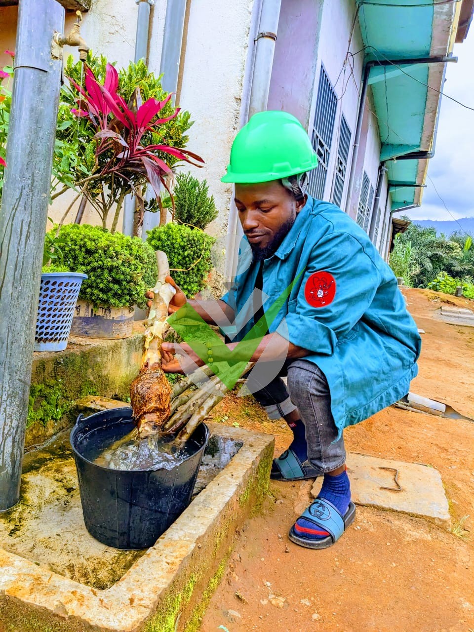 MUNYUY NYUYKONGI
