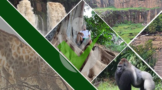 AYA'A Discovery Cameroon