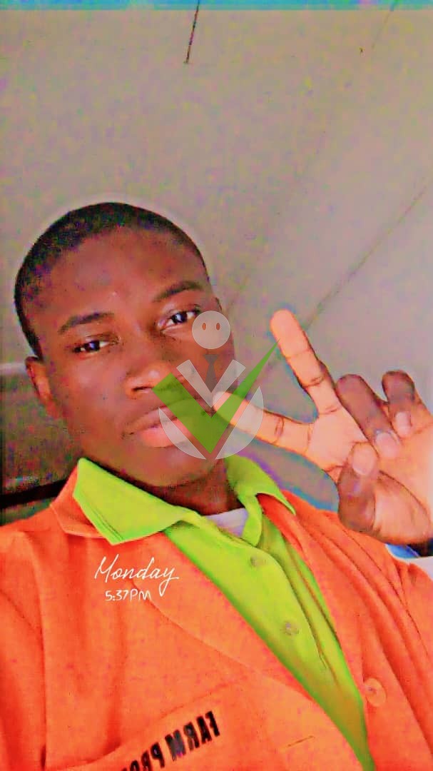 ELE JEAN PHAREL DAVID