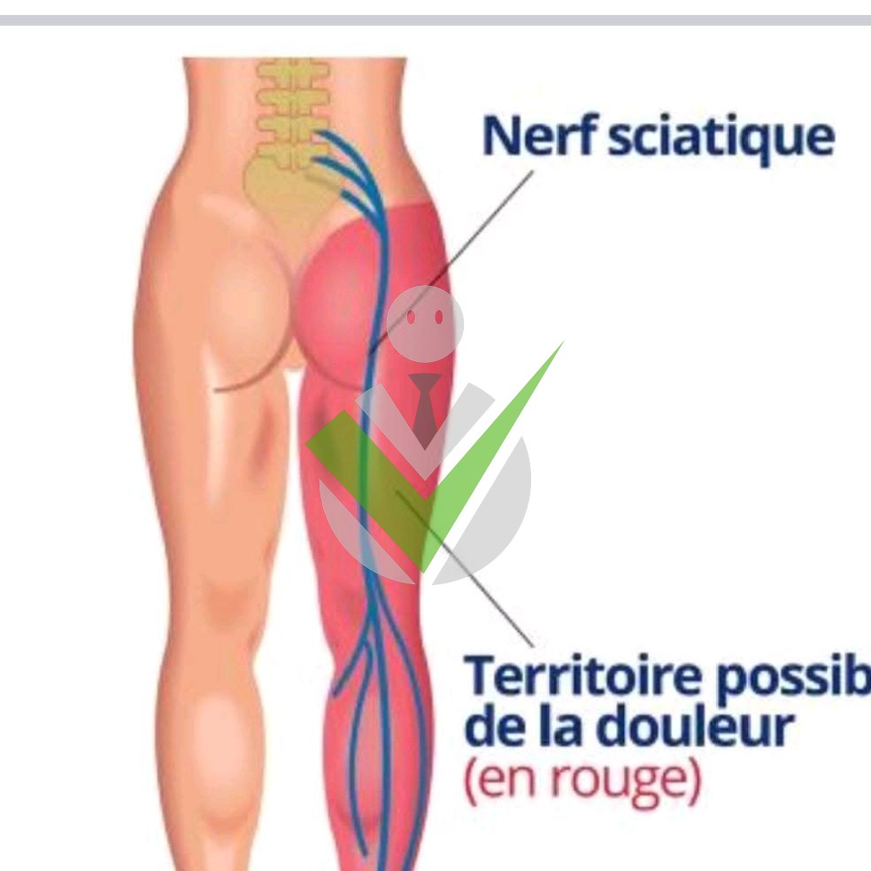 kinesiologie