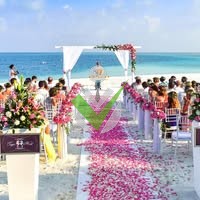 Angelus event