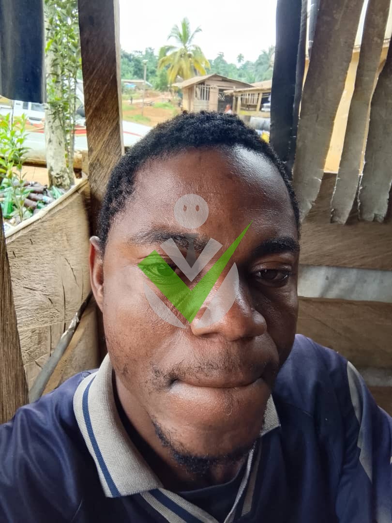 Harrison Ngu