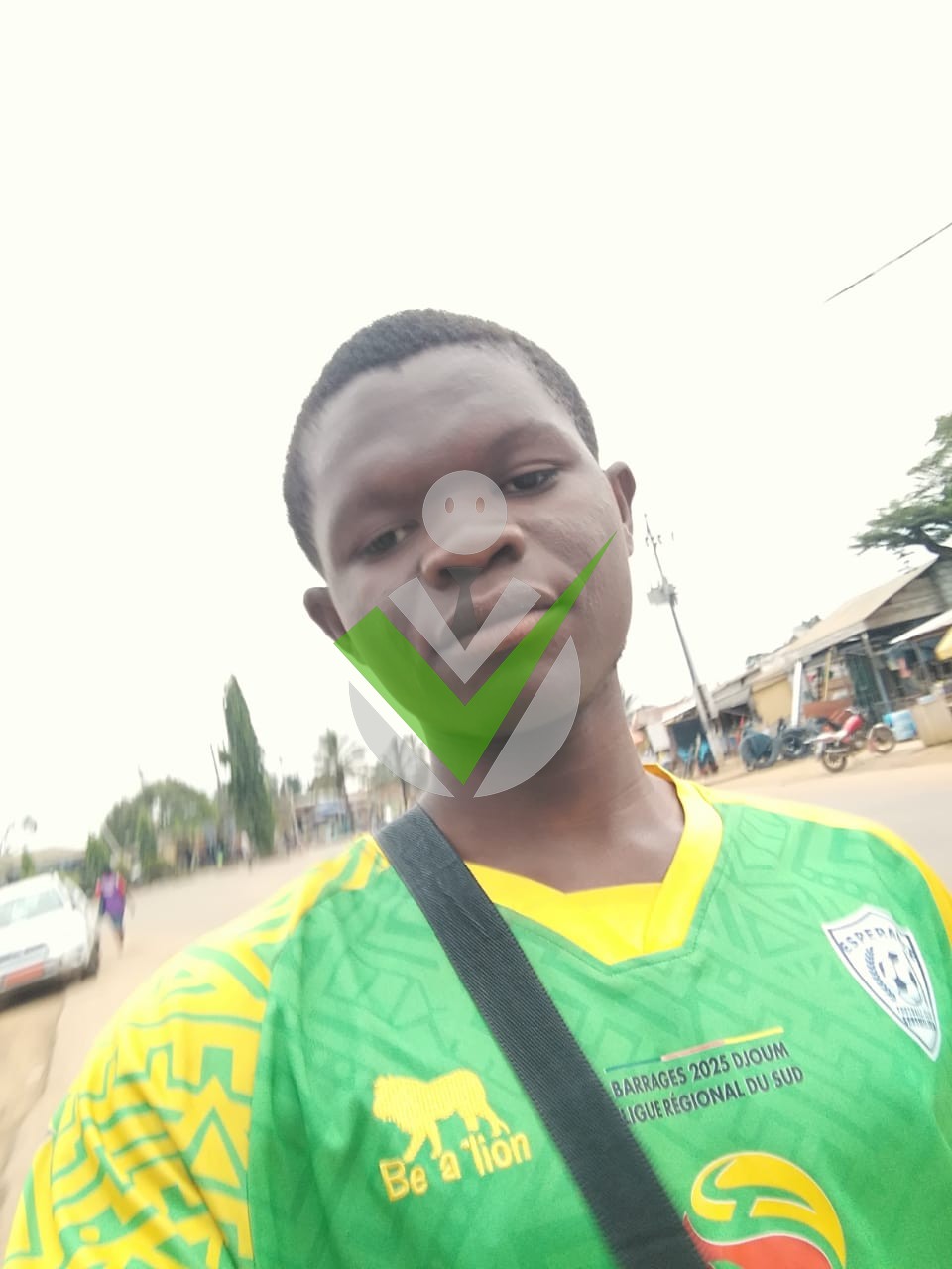 Teddy Bomba