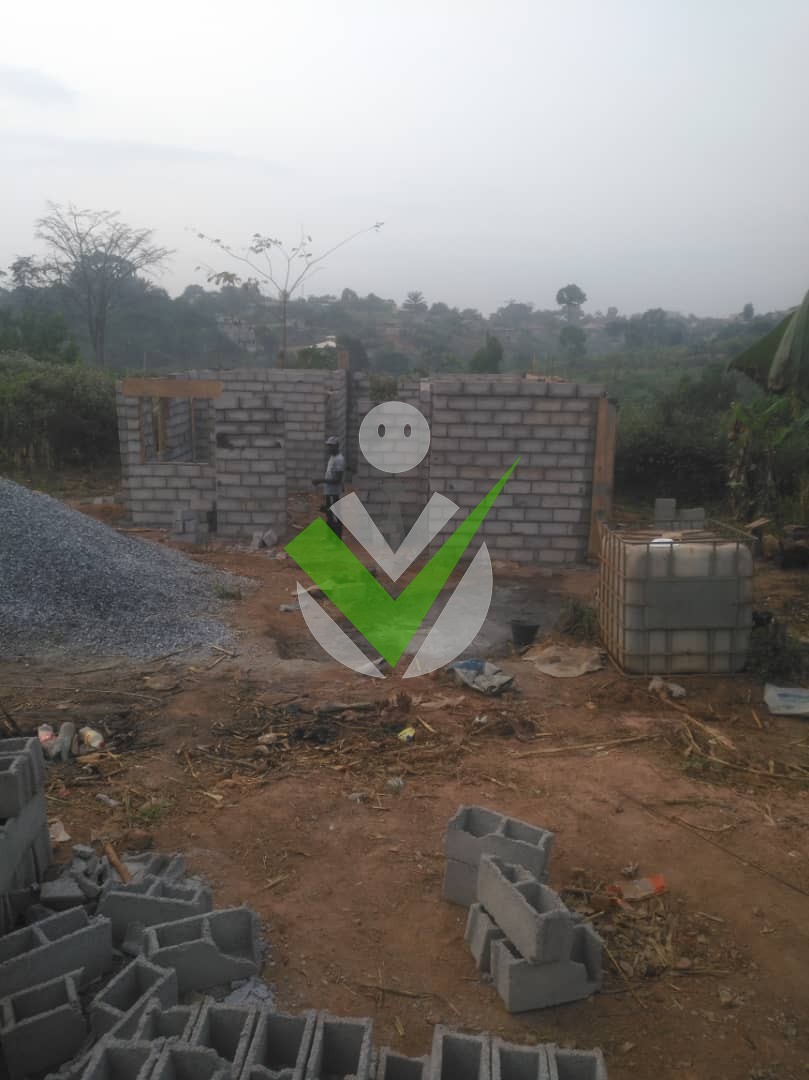 Kevin Onomo