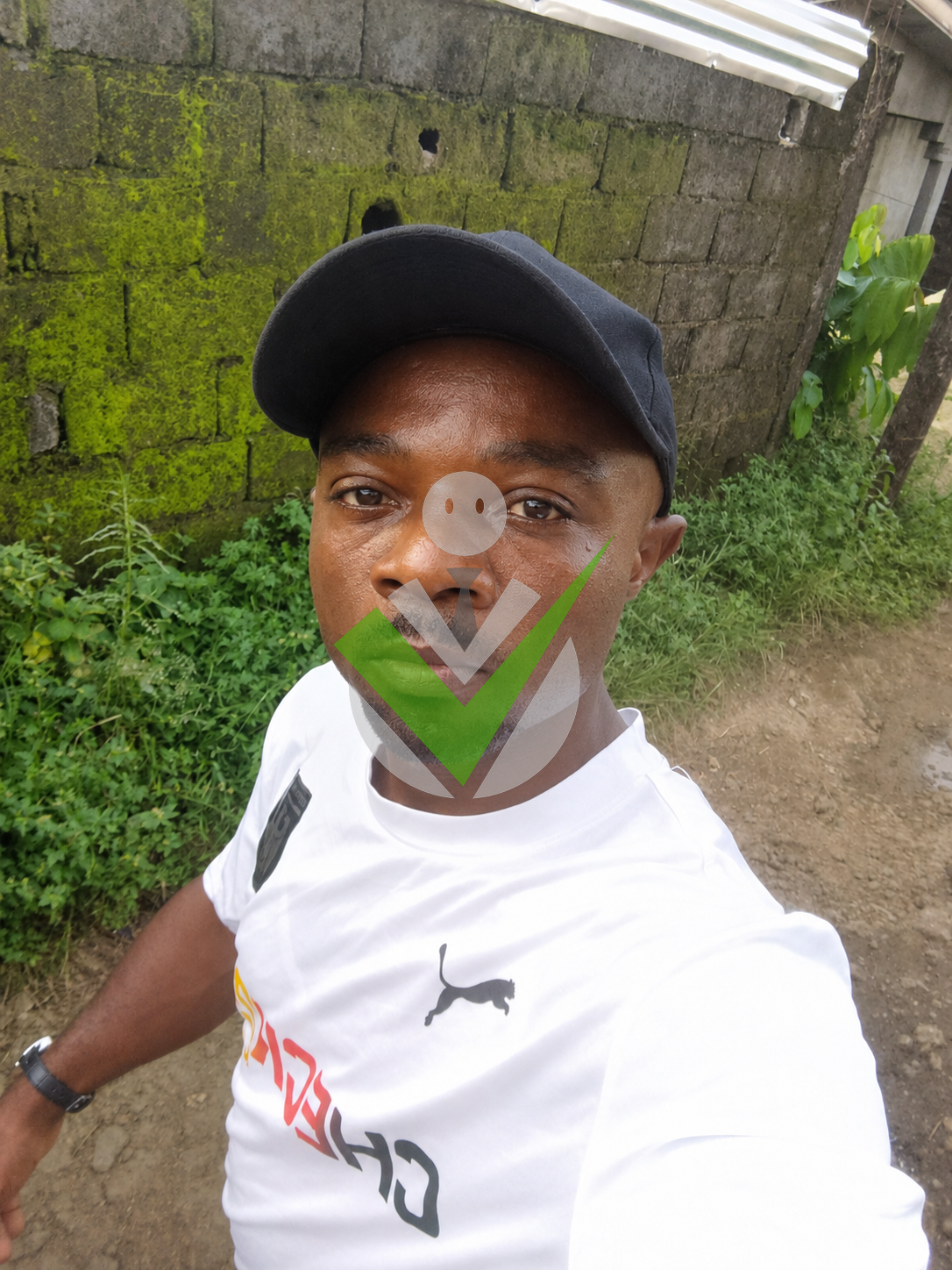 Manasse voma