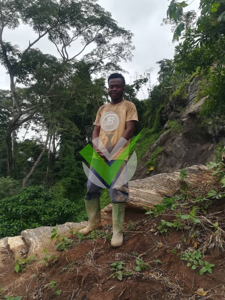 Parfait Nkongo