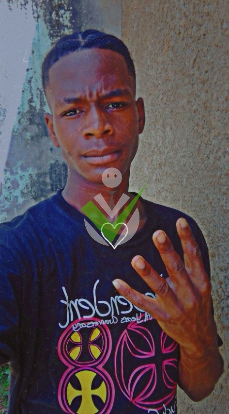 Lyner VYDOZ