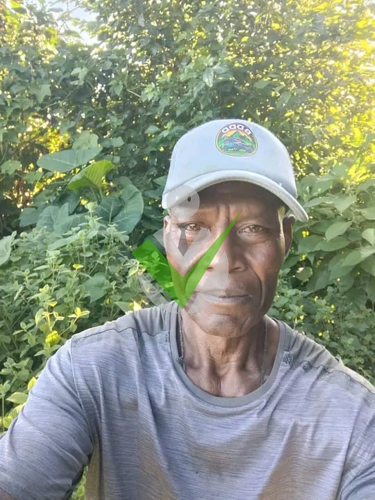 Julien Clarence Mbala Belibi