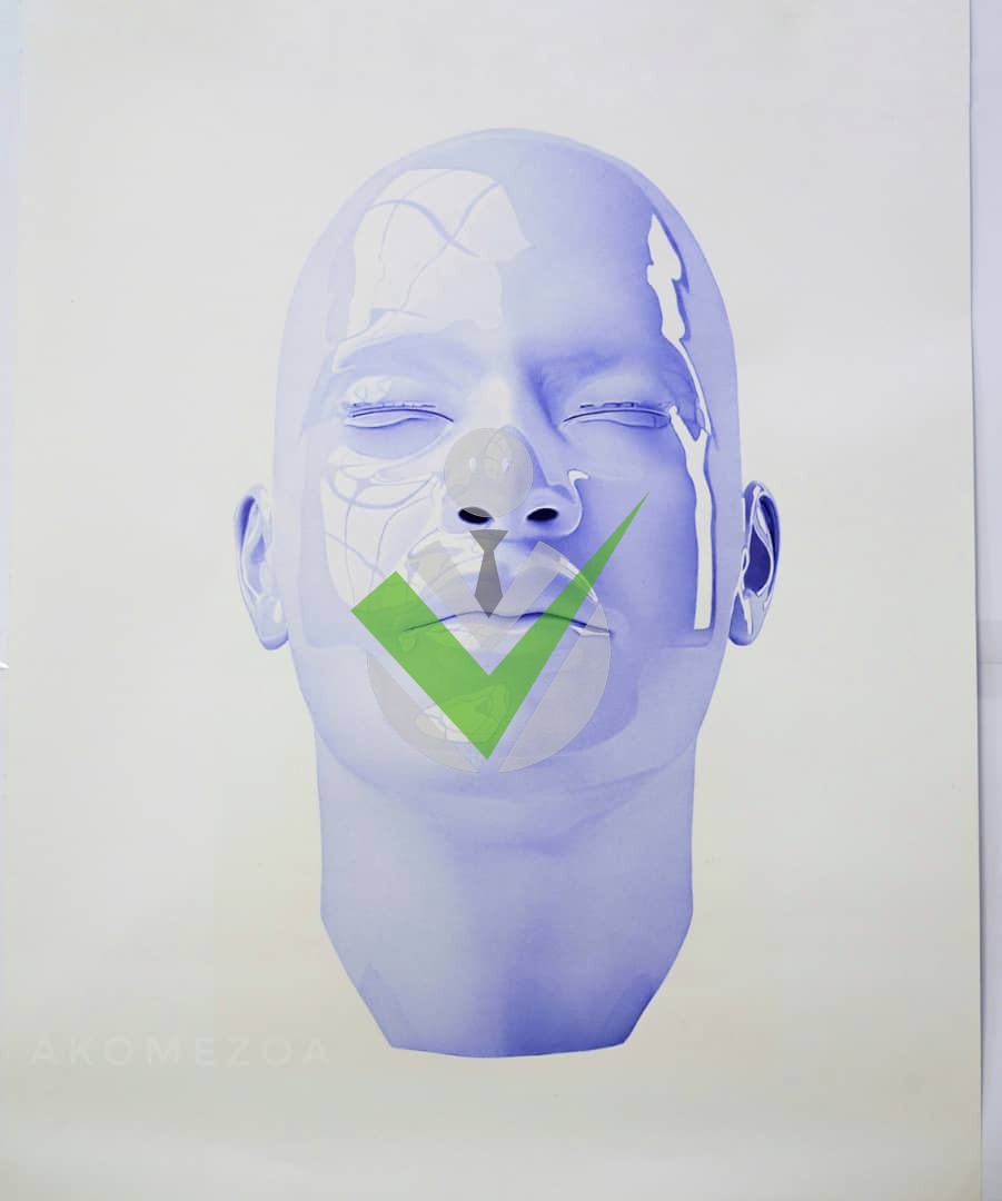 Nicolas Raymond Abena Akomezoa