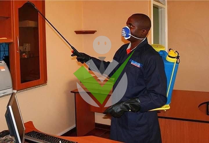 City Builder Inspection Cleaning