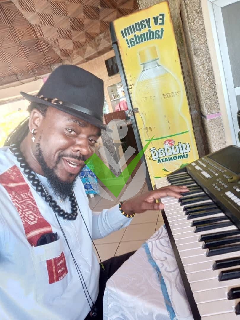 MALEX Pianiste